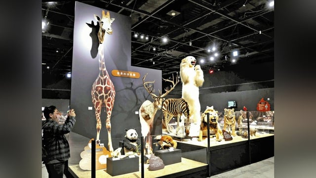うんち　生命の循環に一役…「うんち展―No UNCHI, No LIFE―」